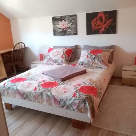 Apartman Franjicic Korenica Exteriör bild