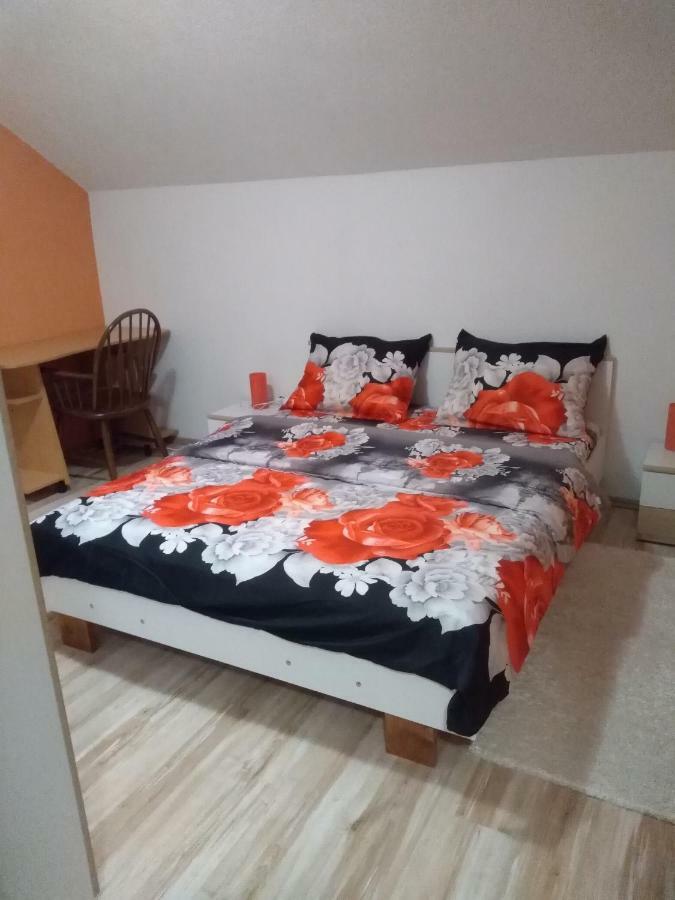 Apartman Franjicic Korenica Exteriör bild