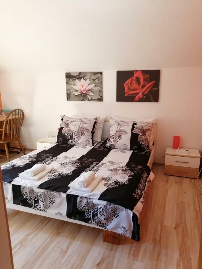 Apartman Franjicic Korenica Exteriör bild